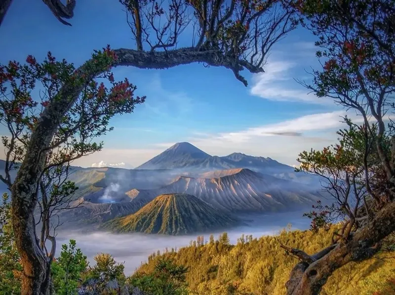 Mount Bromo - Malang